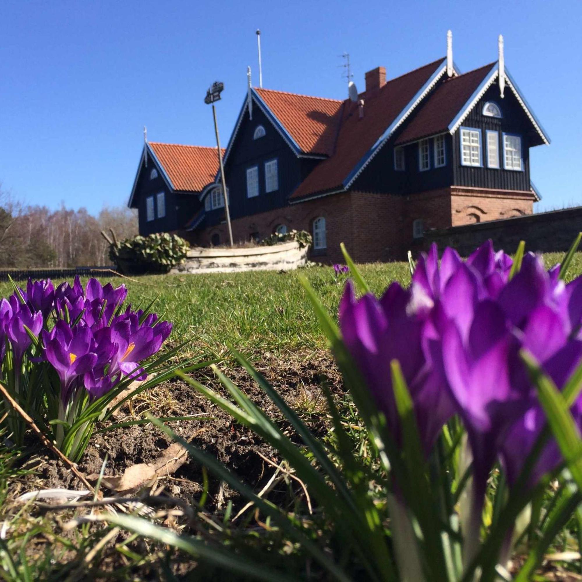 Bed & Breakfast Sturmu Svyturys
